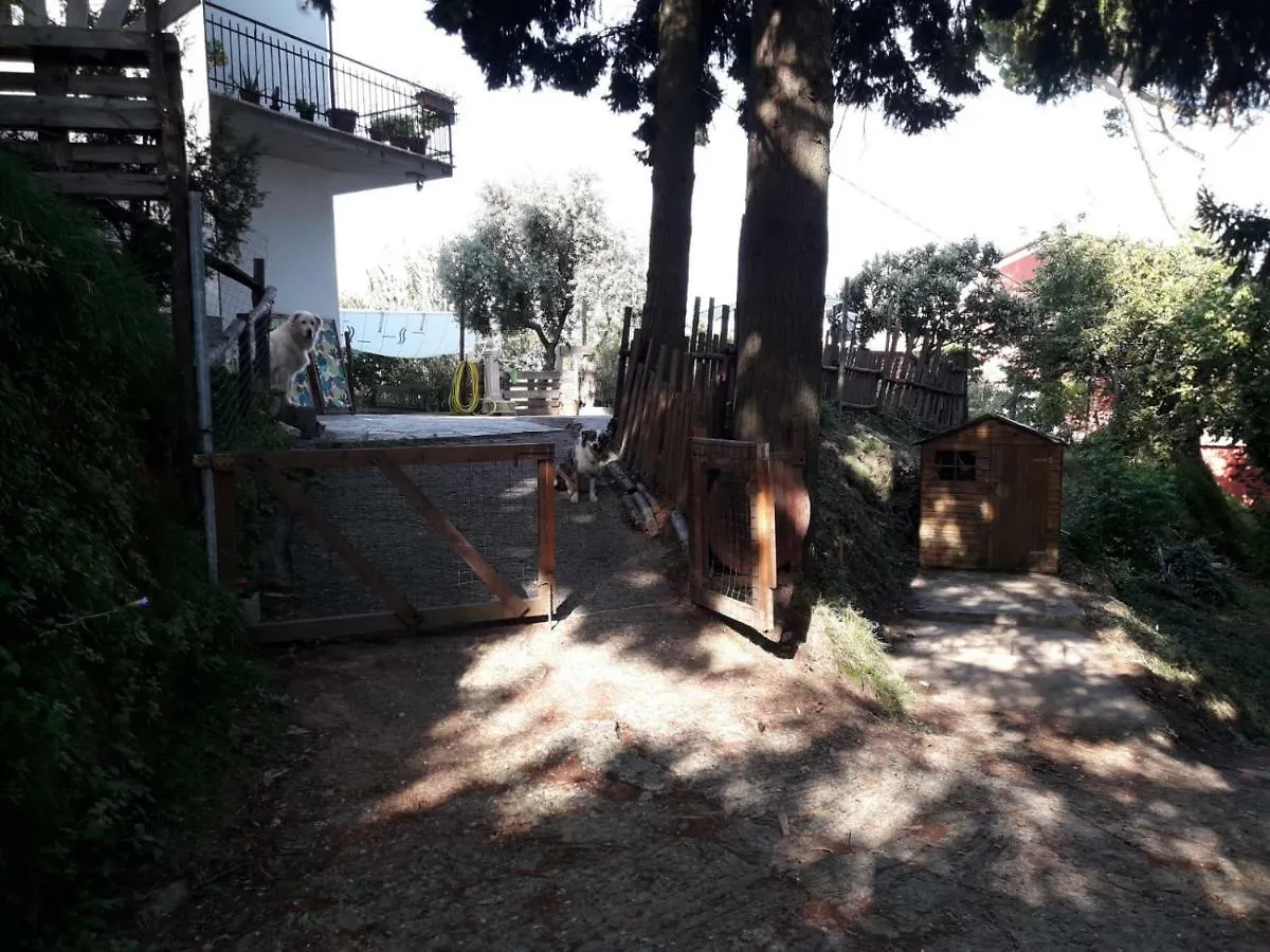 Guest house Il Giardino Del Nespolo Hotel Arcola